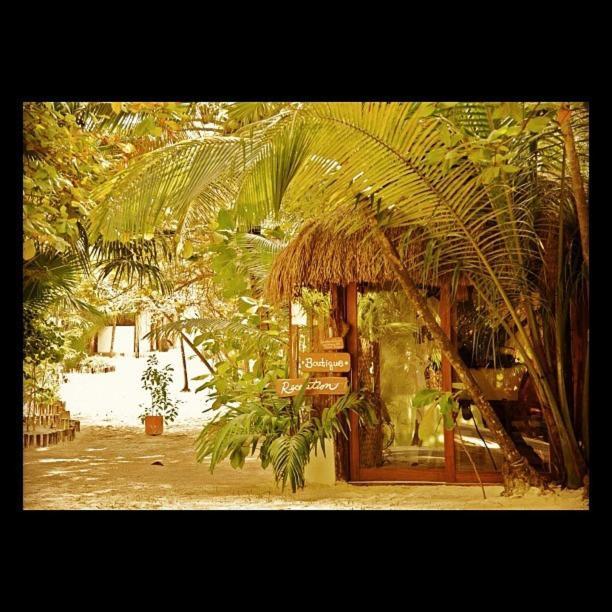 Casa Violeta Hotel Tulum Luaran gambar