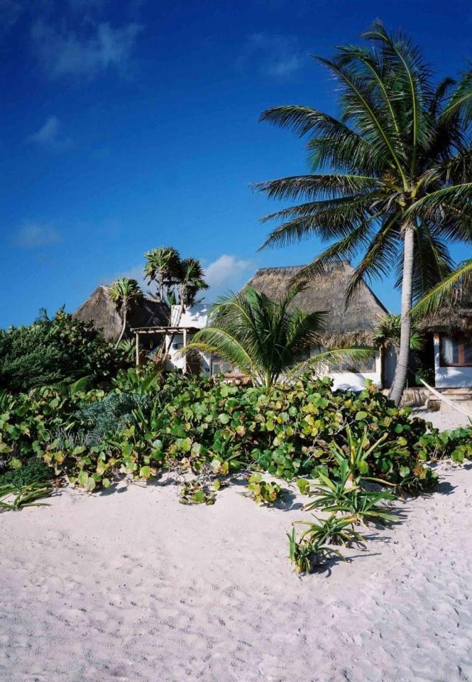 Casa Violeta Hotel Tulum Luaran gambar