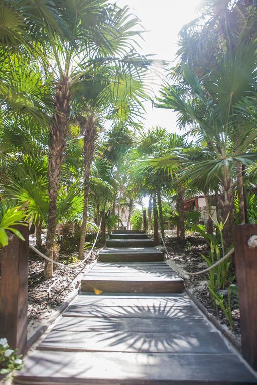 Casa Violeta Hotel Tulum Luaran gambar