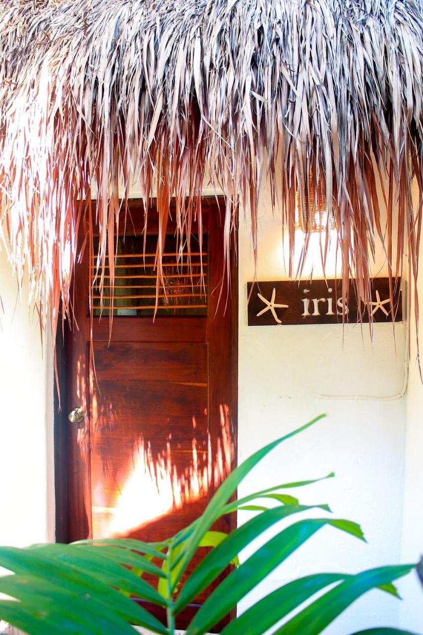 Casa Violeta Hotel Tulum Luaran gambar